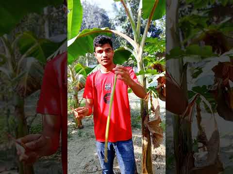 āĻā§āĻāĻŦā§āϞāĻžāϰ āϏā§āĻ āĻĄāĻŋāĻāĻŽā§āĻļāĻŋāύāĻāĻž āĻŦāĻžāύāĻžāϞāĻžāĻŽ |đĨ° đ|#shorts #minivlog #vlog