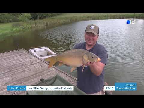 Ici en France : en Haute-Saône , le Pays des Mille Etangs a des airs de petite Finlande