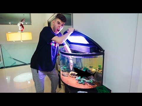 ME METO EN LA PECERA DE LOS TIBURONES Y ESTO FUE LO QUE PASÓ *son enormes* [Salva]