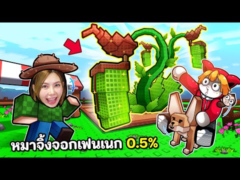 หมาจิ้งจอกเฟนเนก 0.5% ขโมยสถานะผลไม้เพื่อนบ้าน  | Grow a Garden Roblox