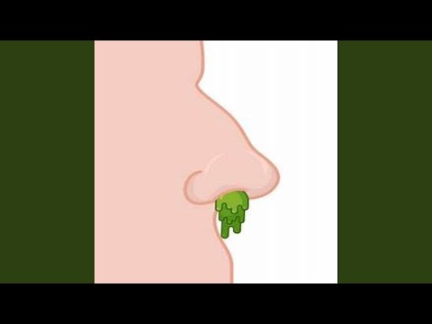 Snot Nose (feat. TTM Dawg & Big Corleone)
