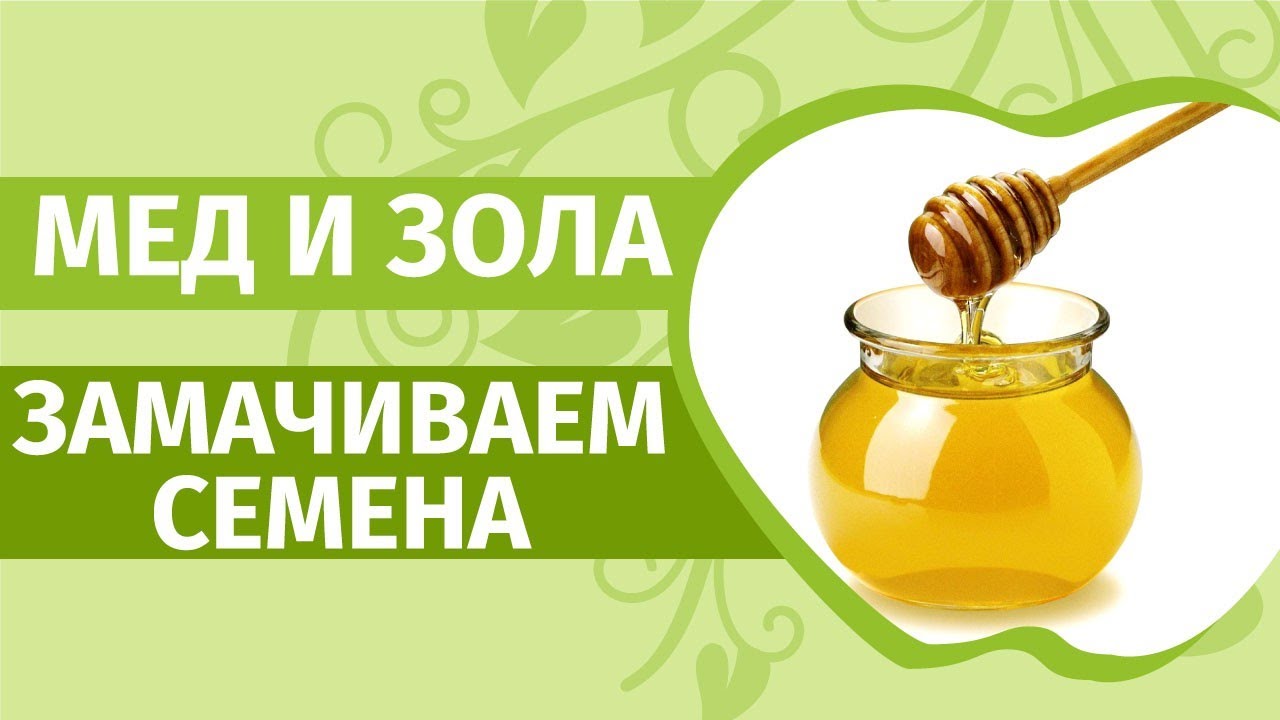 Как и в чем замачивать семена. Надо ли?