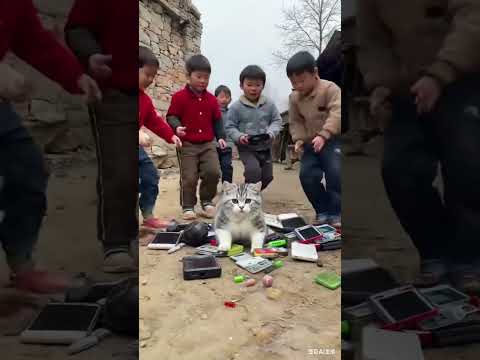 Cat #cartoon #cute #catvideos