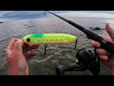 Approaching Storm Brought Surfcasting Fish - Fall Run Starting!