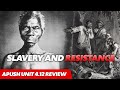 African American Lives and Resistance in the Early Republic