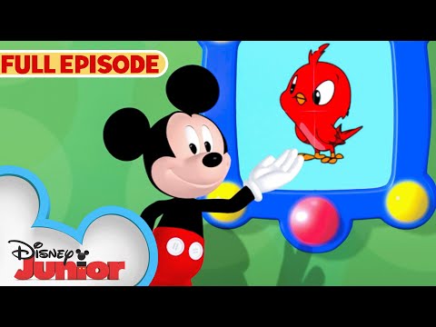 Mickey Mouse Clubhouse Goofy's Bird Full Episode 🐣 | S1 E3 | @disneyjr