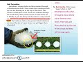 Cloud Formation and Precipitation Concepts