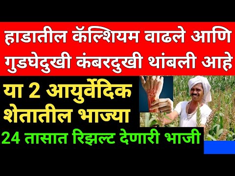 Increased bone calcium and stopped knee and back pain | Swagat todkar tips in marathi #calcium