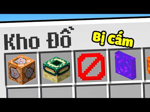 Tôi sở hữu Vật Phẩm Bất Hợp Pháp trong Minecraft