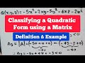 Quadratic Forms and Matrix Determinants