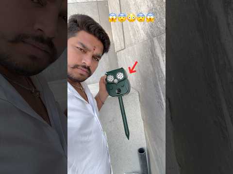 మా బాబా😯చూడండి🤔ఎం చేశాడు😯పిల్లులకు బయపడి||cat mission in kuwait||#viralshorgs#youtubeshorgs#driver