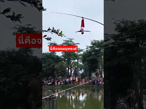 ข้าน้อยขอคาราวะท่านจอมยุทธ์ วิชานี้ช่างล้ำเลิศยิ่งนัก #funny #viralvideo #animal #fail