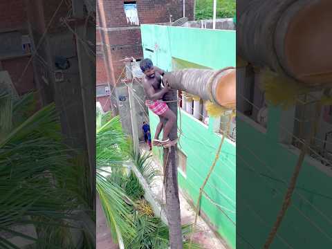 8610339350 top tree cutter