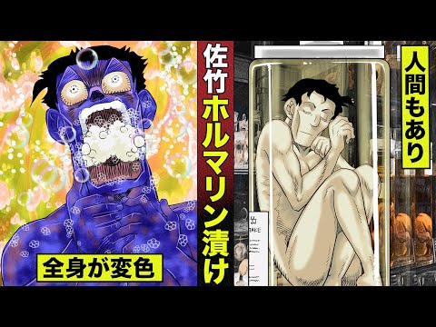 【漫画】佐竹がホルマリン漬け。全身が青黒く変色…人間もあり。