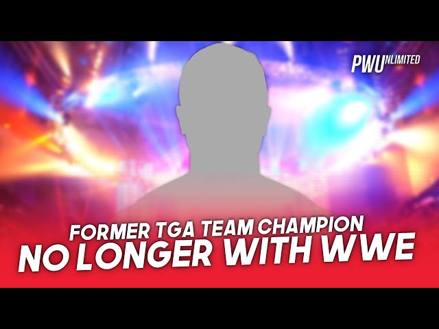 Former Tag Team Champion No Longer with WWE