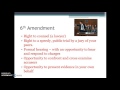Constitutional Rights and Protections