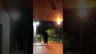 MURALHA FUGIU DO CAPA PRETA 😱🏃‍♂️