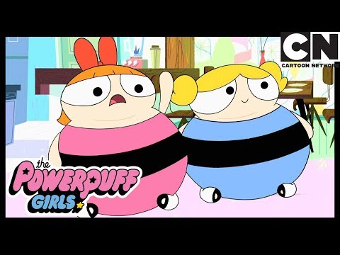 El Cañon Fantasma | Las Chicas Superpoderosas | Cartoon Network