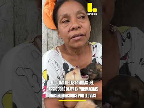 El drama de las familias del barrio 'José Olaya' en Yurimaguas tras desborde del río Shanusi