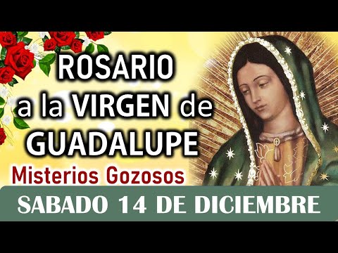 Santo Rosario Corto a la Virgen de Guadalupe, Sábado 14 de diciembre de 2024 🌷Misterios Gozosos🌷