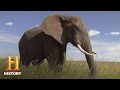 Understanding the Republican Party and Its Symbolism