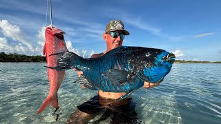 I’ve Hunted this Fish for 30 Years and it Finally Happened! (Remote Island Catch & Cook)