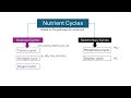 Nutrient Cycles and Elements in Biology