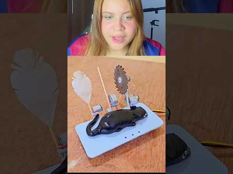 ¿ES UNA TRAMPA PARA RATONES O UN SPA? video de: @JAINUL_HAQ #dinosaurios #viral