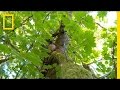 Mick's Adventure with Game Cameras