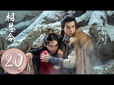 ENG SUB【相思令 Everlasting Longing】EP20 | 玄烈迎娶郡主，君绮罗与他诀别坠崖假死 | 主演：杨颖, 宋威龙