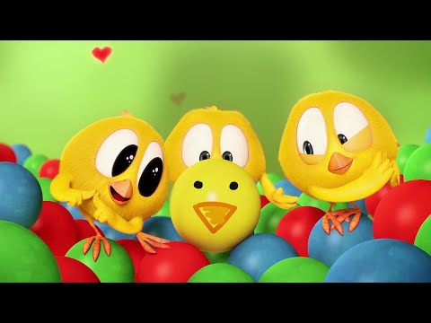 Un nuevo amigo | ¿Dónde está Chicky? | Pollito pio | Colección dibujos animados para Niños | HD