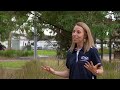 Environmental Initiatives in Adelaide