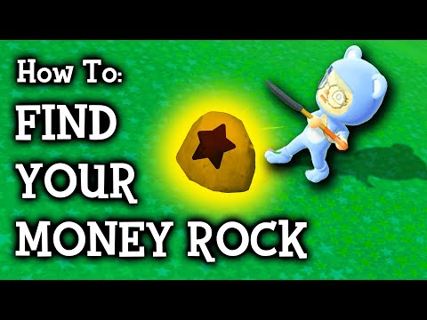 How to Find Your Money Rock | Animal Crossing New Horizons