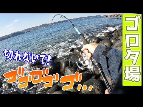 いや…え…マジかよついに大型魚キタぁぁぁ！