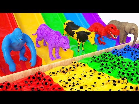 Aprende animales y Colores con Animales salvajes en un Tobogán de agua Mágico para Niños