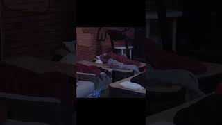 JAK JA MAM SPAĆ? #meduska #bandura #shorts #shoty #twitch #kick #funnymoments #m3ga #m3gashoty