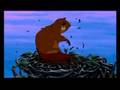 Understanding the River Metaphor and Life Choices