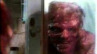 The Fly trailer