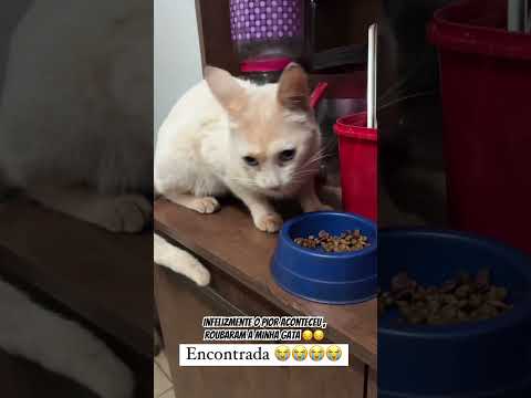 O veterinário me disse que não era ela 😭