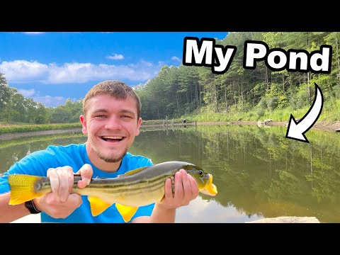 Catching the First Fish out of My Pond!