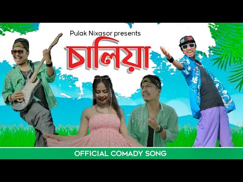 Saliya - Official comedy song | Pulak Nixasor | Assamese new music video 2023 | Gaor a modahi