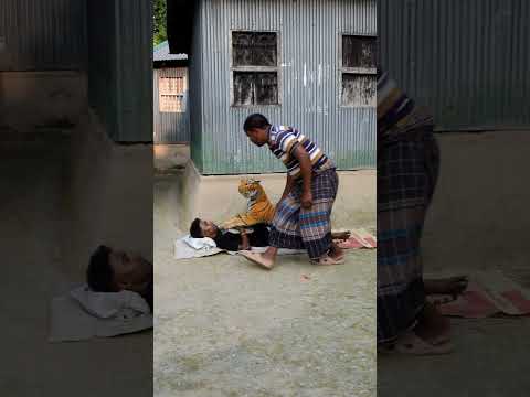 Epic Fake Tiger Sighting Prank – Their Reactions Are Priceless 😱 part -02 #shorts #trending #tiktok