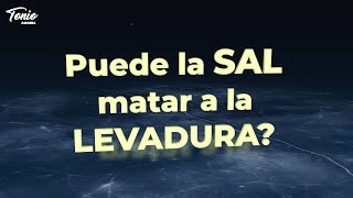 Puede matar la Sal a la Levadura? Descubre la Verdad para tus Masas de Pan, roscón y Pizza #493#