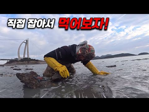 가득 찼던 바닷물이 사정없이 빠진다!! 돌 틈에 숨어있는 최고의 술안주!