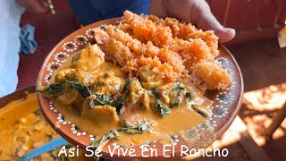 Pollo en Crema de Chipotle – Receta Fácil y Cremosa