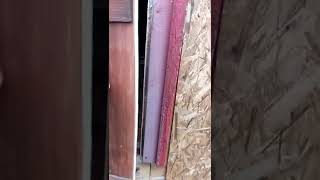 CONSTRUCCIÓN DE GALLINERO  FUTRONO 4