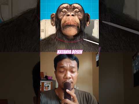CHANGE‼️#animals #reaction #trending #funny #shorts