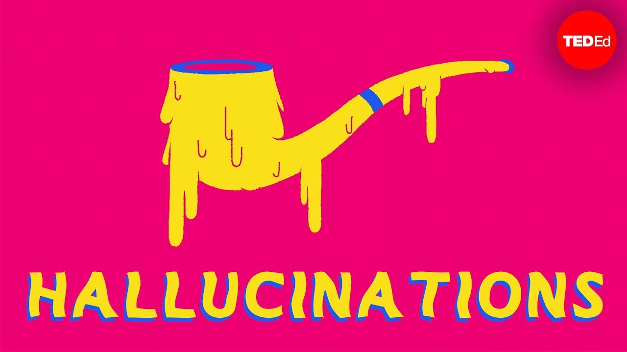 How much of what you see is a hallucination? - Elizabeth Cox