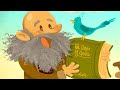 Darwin's Theory of Evolution Concepts