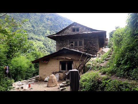 Nepali village Kitchen || Village family natural cooking recipe || @ruralnepalquest